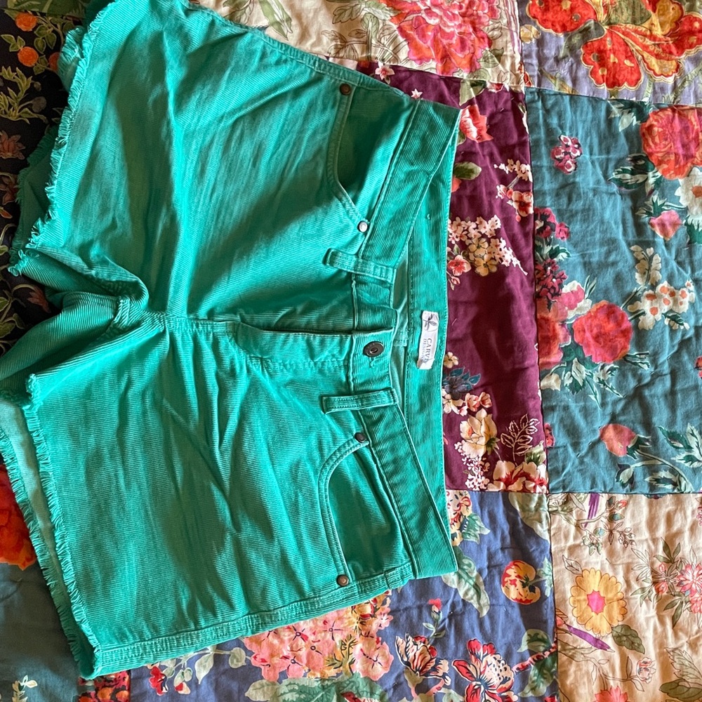 Carve Designs Teal Jean Shorts